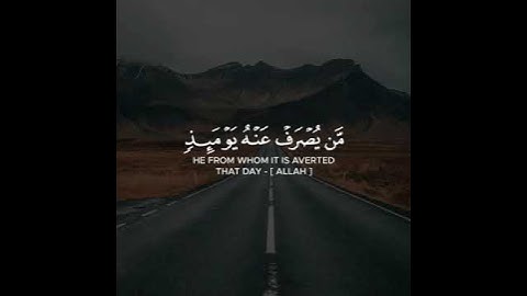 القارئ مشاري فالح سورة (الانغام)