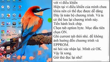 Hướng dẫn bảo vệ chương trình cho STM8 (Lock Code)