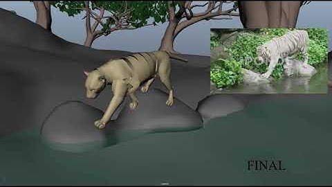 Academy @ The Focus Animation Skills Test