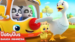 Roda Di BabyBus Berputar-putar | Lagu Anak Indonesia | Kartun Anak-anak | BabyBus Bahasa Indonesia