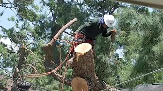 Entergy and TNMP customers face power restoration delays after Beryl thumbnail