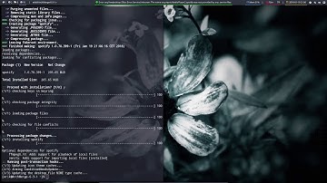 ArchMerge : 189 polybar modules A-Z : spotify1
