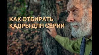 картинка: КАК И КАКИЕ КАДРЫ ОТБИРАТЬ ДЛЯ СЕРИИ