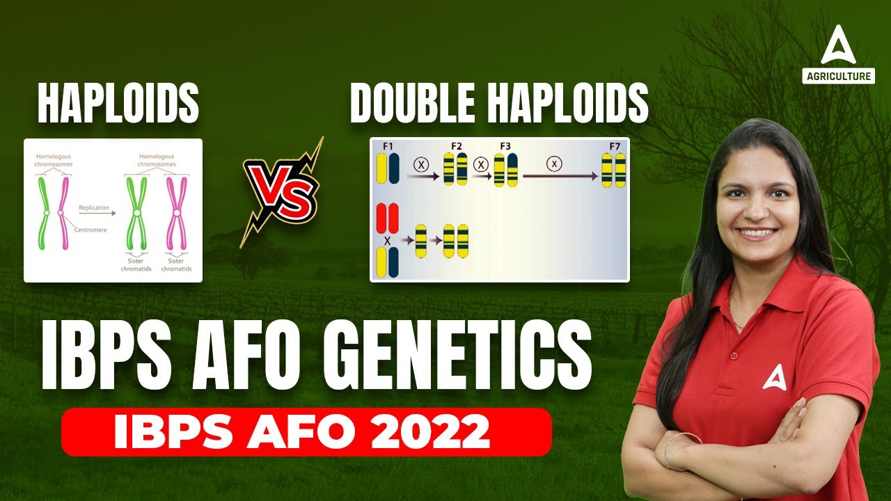 Haploids vs double haploids ibps afo genetics by dr meenakshi rathi