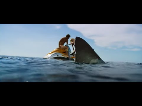 Shark Bait - Trailer (In Cinemas 30 June)