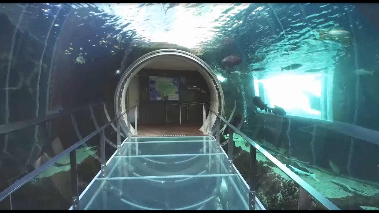 【大田原市】栃木県なかがわ水遊園【フィルムコミッション】