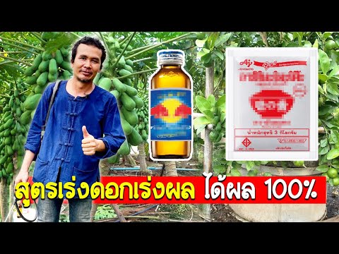 สูตรเร่งดอกเร่งผลแบบเร่งด่วน ได้ผล 100%