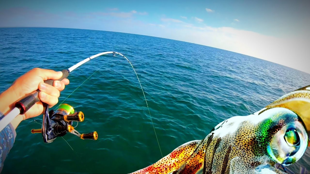 Fishing for Squid & Whiting Port Phillip Bay