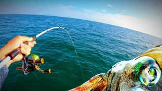 Fishing for Squid & Whiting Port Phillip Bay