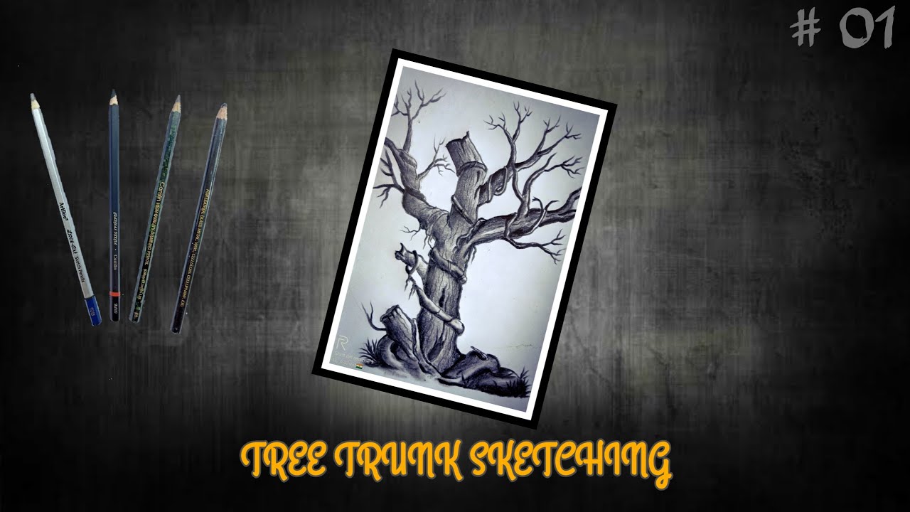 Tree Trunk Shading |How to draw tree trunk with pencil sketch and shading techniques| Step ...