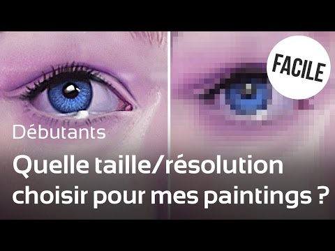 Vidéo: Quel type de redimensionneur d'image est le meilleur ?