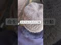 【逃げたらダメですか】#逃げる#在宅介護#介護あるある #100歳