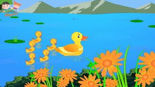 Five Little Ducks Went Out One Day English Nursery Rhymes| Rhymes For Children