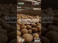 Strategically Located Industrial Lands For Next-generation Food Manufacturing