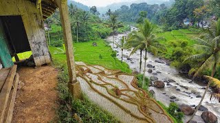 BETAH BANGET, MENIKMATI HIDUP DI DESA, UDARANYA SEJUK AYEM TENTRAM. ALAM INDAH DAMAI DIJAMIN BETAH by Niat Kuring 10,753 views 4 days ago 34 minutes