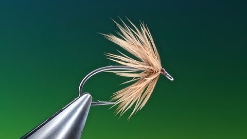 Soft hackle technique with Barry Ord Clarke