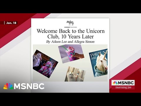What Is Unicorn Status