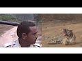 Tiger Attack! - Forest patrol guard narrates his chilling encounter with tigers