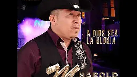 HAROLD MOTTA/// MERECES LA GLORIA