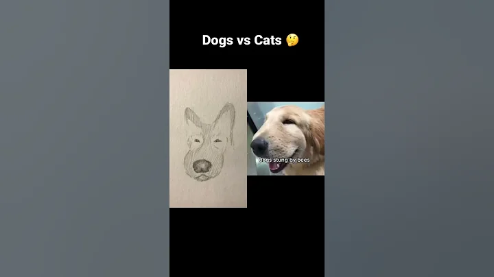 Dogs vs Cats CHAD Face - DayDayNews