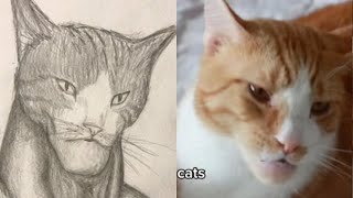 Dogs vs Cats CHAD Face