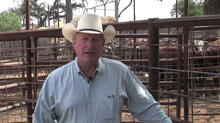 Ron Gill - BQA - Identifying the presence of lead shot