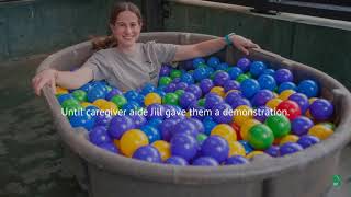 Chimpanzee Ball Pit Adventure!