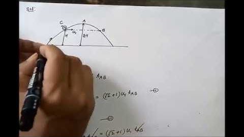 ratio of bird and projectile horizontal velocity in projectile motion