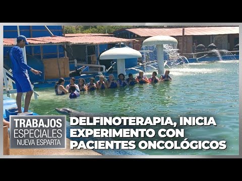 Video: Nado con delfines: ¿entretenimiento o método de psicoterapia?