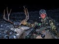Bowhunting South Dakota Public Land Mule Deer | 2020