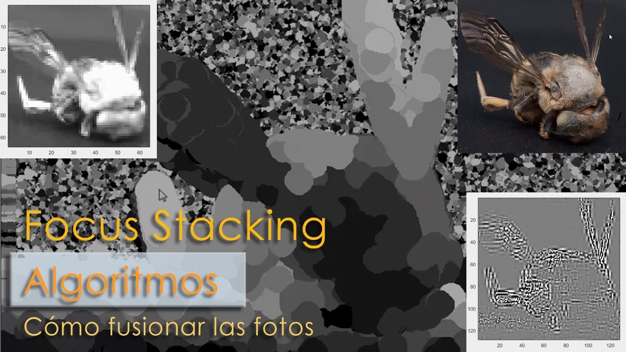 Focus Stack Algorithms Algoritmos de Focus Stacking - YouTube