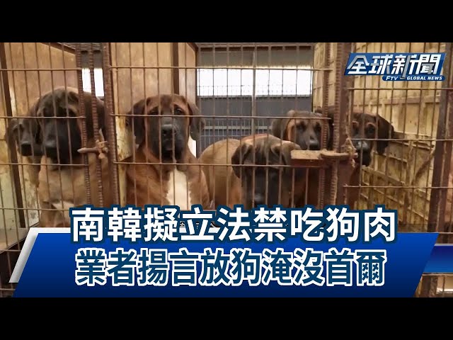 【民視全球新聞】南韓擬立法禁吃狗肉 業者揚言放狗淹沒首爾 2023.12.03