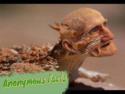 10 ყველაზე შხამიანი ცხოველი