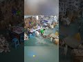 #catfriends #reels #helpingcats #dogshorts #viral #tiktok