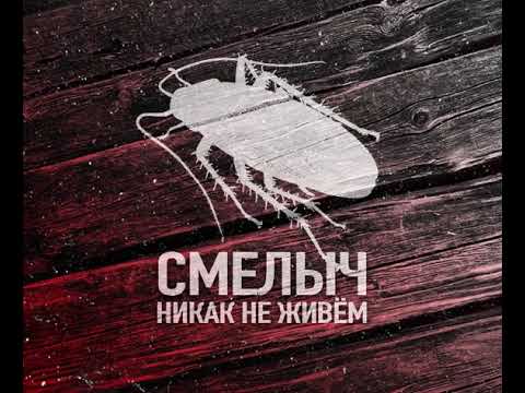 СМЕЛЫЧ - Никак не живём (TikTok Remix,2021)