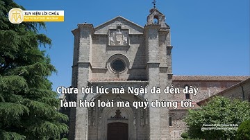 Suy Niệm Lời Chúa, Thứ Tư Tuần XIII Thường Niên (05/07/2023)