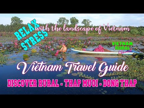 Explore Dong Thap rural | Vietnam Travel Guide | Relax stress