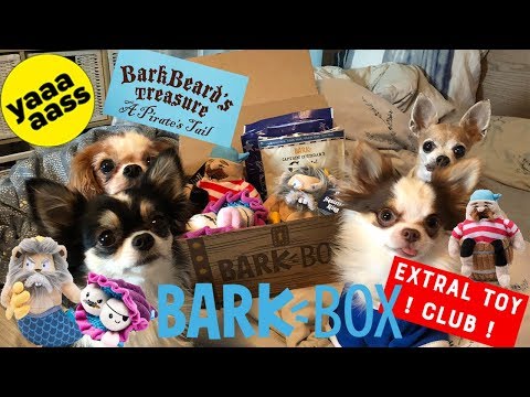 barkbox-april-2018-*small-dogs*chihuahua*-unboxing--extra-toy-club(-bark-beard