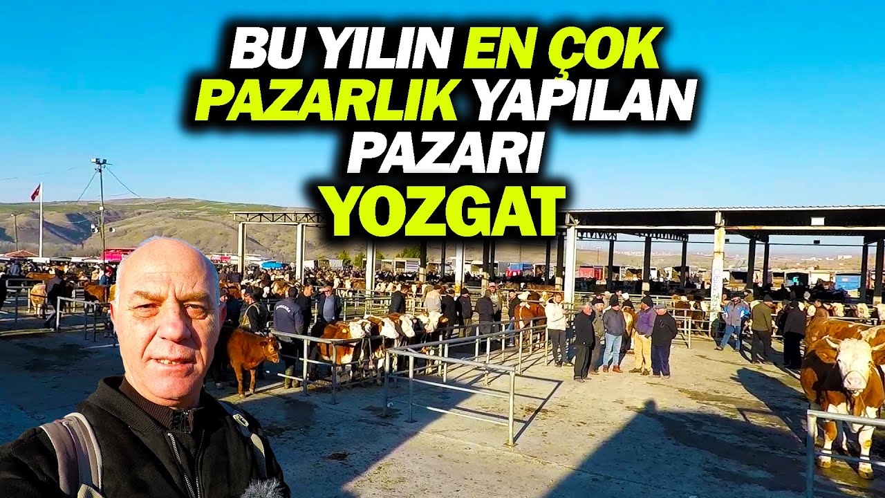 Yozgat Sorgun Canlı Hayvan Pazarı Son Durum !!!