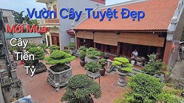 TỨC TỐC về HÀ NAM để CHIÊM NGƯỠNG QUÁ ĐẸP & TP TIỀN TỶ anh HẢI vừa Mới Mua .