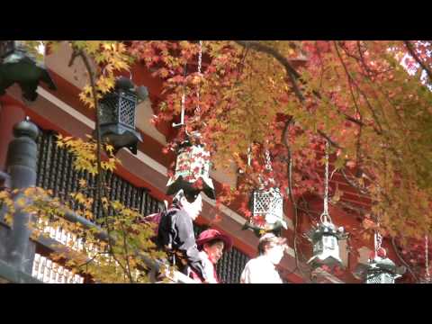 紅葉の談山神社(HD動画)