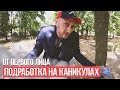 От первого лица: Работа на лето