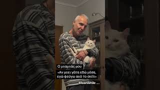 Αν μπει γάτα εδώ μέσα, εγώ φεύγω από το σπίτι 😂 #κατοικιδια