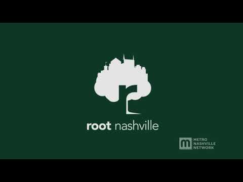 Videó: Mi az a kavicságy: Hogyan készítsünk kavicságyat fáknak
