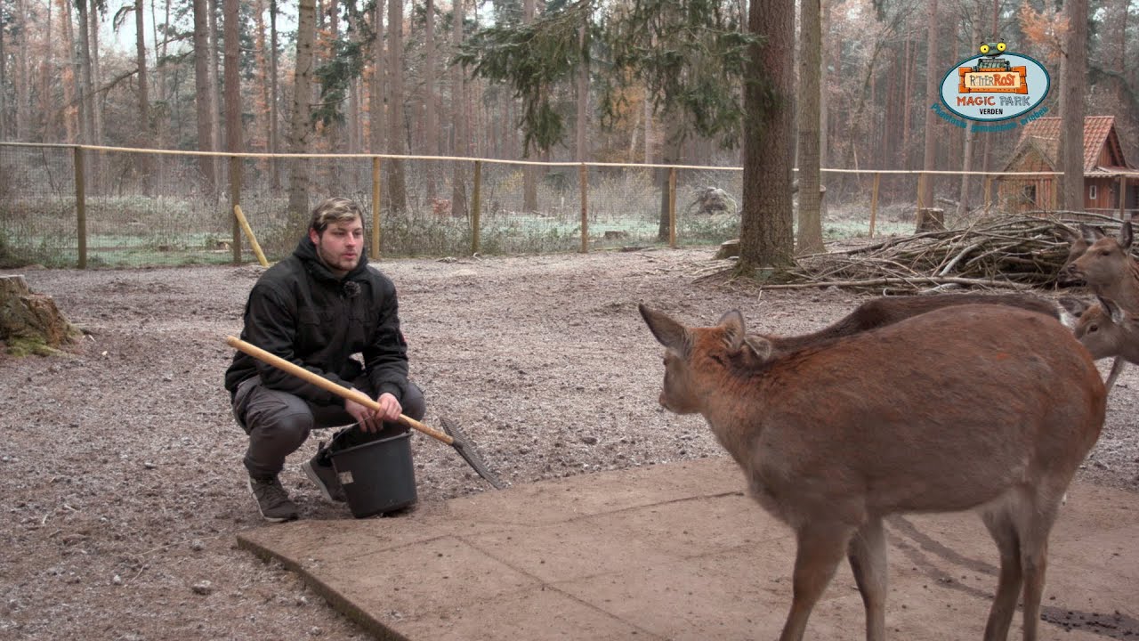 Magic Updates Folge 3