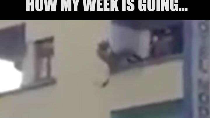 How My Week Is Going
