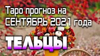 ТЕЛЕЦ - ТАРО прогноз на сентябрь 2021 года