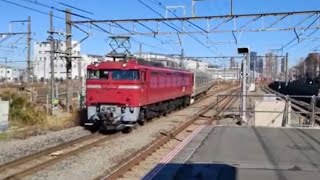 EF81ー139号機+E231系S-05編成AT出場被り　2024.3.27