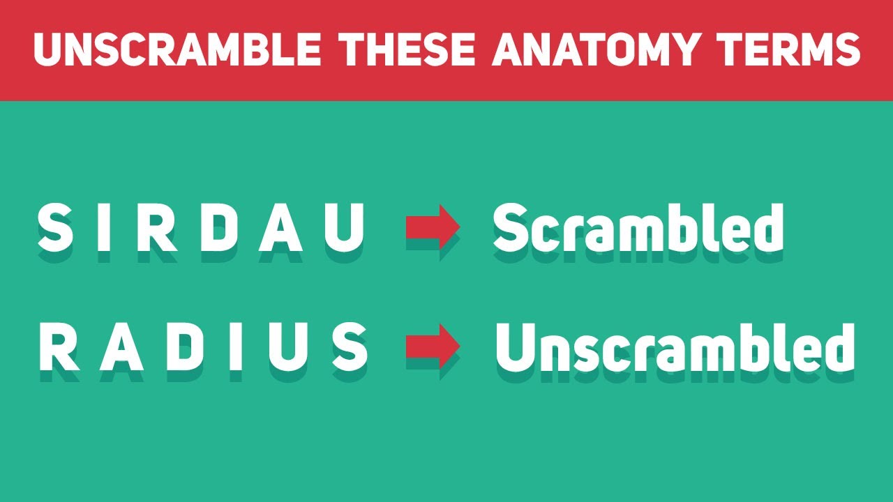 Unscramble The Anatomy Medical Terms? - YouTube
