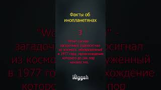 Факты об инопланетянах